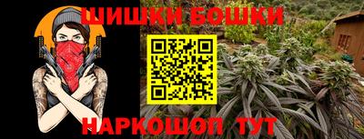 трава Гатчина