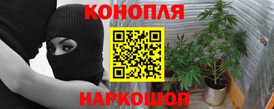 трава Гатчина