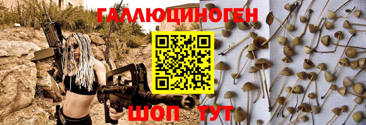 Галлюциногенные грибы MAGIC MUSHROOMS  Вход с VPN  Псилоцибиновые грибы GOLDEN TEACHER  Зима 